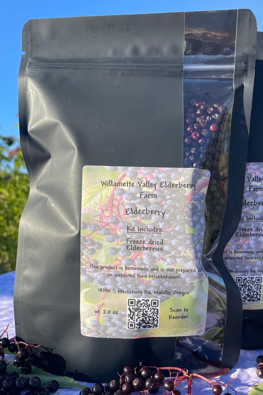 Elderberry Brew Kit - Makes 1 quart